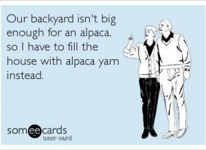 ... do have a backyard big enough to fit an alpaca, but still funny