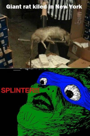 Master Splinter!!!