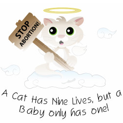 Cat Quote – A cat has Nine Lives but a baby only has one