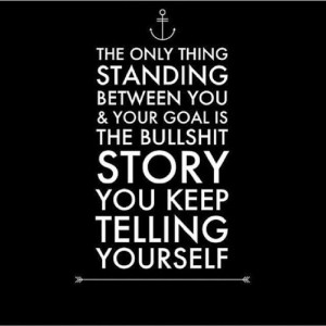 ... you and your goal is the bullshit story you keep telling yourself