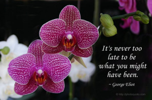 Sayings, Quotes: George Eliot