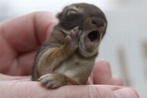 Sur le net on trouve toujours des images drôles. Celle-ci est ...