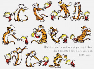Calvin and Hobbes Weekend