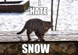 Funny Hate Snow Quotes