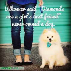 Dog Quotes
