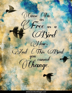 Bird quotes