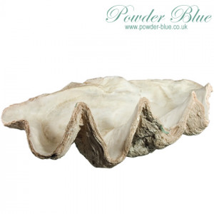 clam shell resin clam shell medium l 710mm £ 270 large l 1015mm £ ...