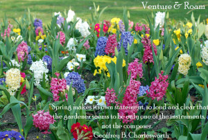 Spring Makes Its Own Statement, So Loud And Clear That The Gardener ...