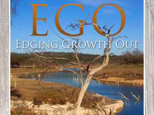 Clinical Psychologist