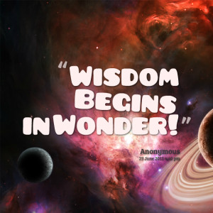 Quotes Picture: wisdom begins in wonder!