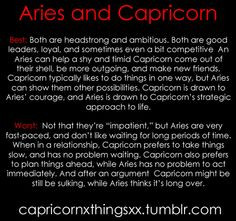 Aries and Capricorn More