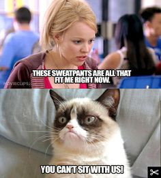 Grumpy Cat Invades 'Mean Girls.' You Can't Sit With Us! More