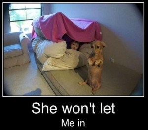 admin • November 23, 2014 Funny Quotes