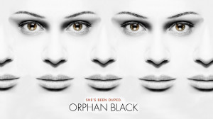 238551-orphan-black-orphan-black.jpg