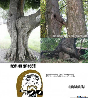 Funny Mother Nature