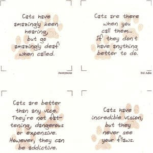 Talking Quilts Mini Cat quotes, 15 squares, 3 1/2