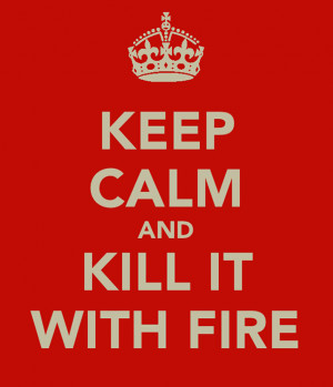 Keep Calm and Kill it With Fire