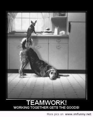 Funny Teamwork Quotes And Sayings 5842af99b3d565945ddc2d83dc85b4 ...