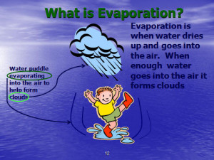 Evaporation Process