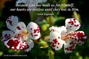 Quote from Confessions by St. Augustine.