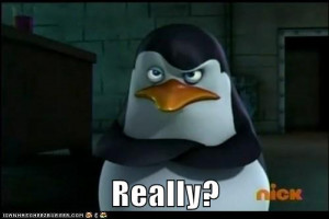 Private- Really? - penguins-of-madagascar Photo