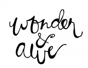 Wonder and Awe || Handlettering