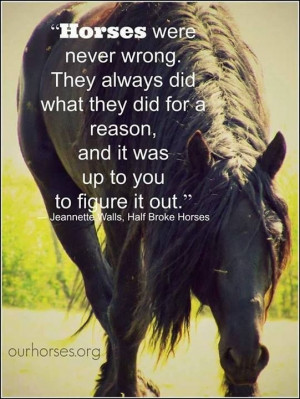 horse quotes equestrian quotes so true hors quotes funny funny