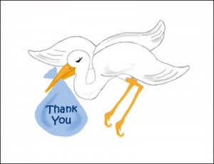 Thank You Boy Stork Baby Cards