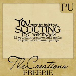 22nd is girl scout leader day it takes a lot of work to be a scout