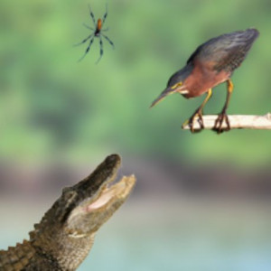 Funny Quotes Contact Dmca...