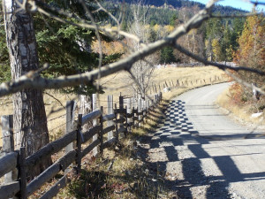 Grand Palaces: Quote by Terry Goodkind