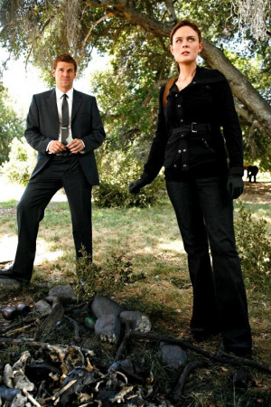Temperance Brennan Y Seeley Booth picture