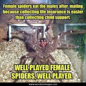 added by picture quotes posted under more quotes report image