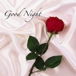 Romantic good night quotes for Boyfriend