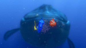Finding-Nemo-finding-nemo-3568289-853-480.jpg