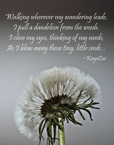 my wandering leads, I pull a dandelion from the weeds. I close my eyes ...