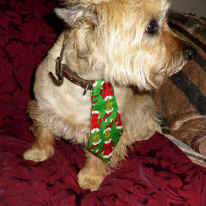 Dr Seuss's Grinch Character Dog Tie by parksidedesignstudio