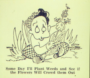 Funny Weed Cartoons Pulling weeds, mowing iris