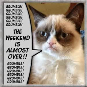 weekend #grumpy cat #weekend quotes #sunday quotes #weekends over