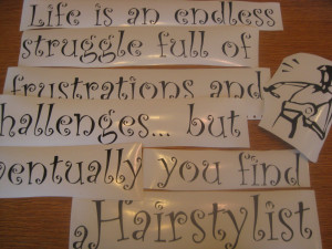 ... an endless struggle full of frustrations and challenges - Life Quote
