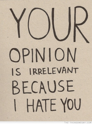 Your Opinion Is Irrelevant Because I Hate You - Opinion Quotes