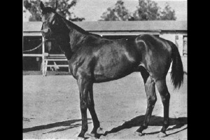 SeabiscuitAn American Legend