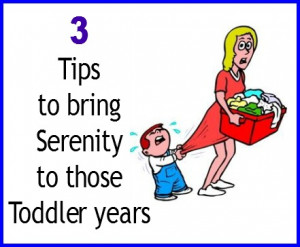 Tips to bring Serenity to those Toddler years