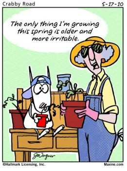 maxine-spring-quote (12 pieces)