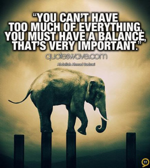 You can't have too much of everything, you must have a balance, that's ...