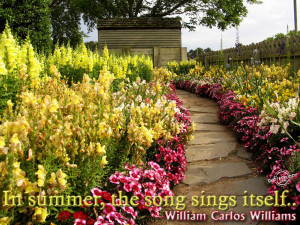 Summer Quotes Graphics, Pictures - Page 2
