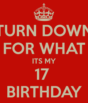 Turn Down For What Its My 17 Birthday Turn down for what its my 17