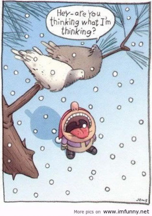 funny-pictures-funny-christmas-funny-kids-funny-quotes-funny-sayings ...