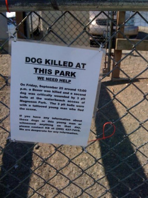 took my dog to Magnuson this morning, and these signs were up ...