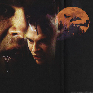 Happy-Halloween-Damon-fans-damon-salvatore-26447524-500-500.gif